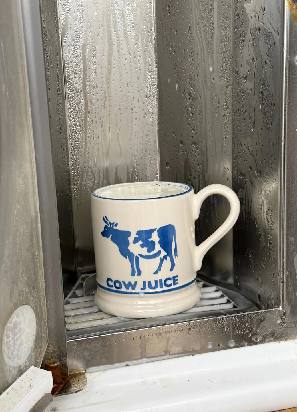 Seconds Diddly Squat Farm: Cow Juice 1/2 Pint Mug